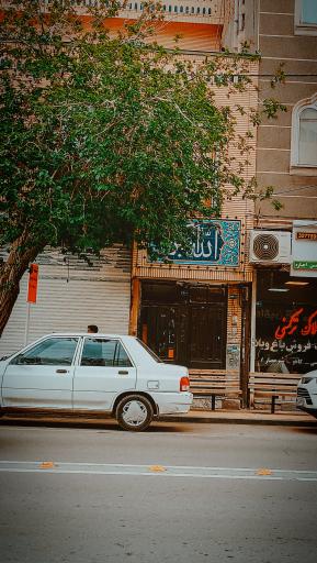 عکس  شهید علیمردانی 14