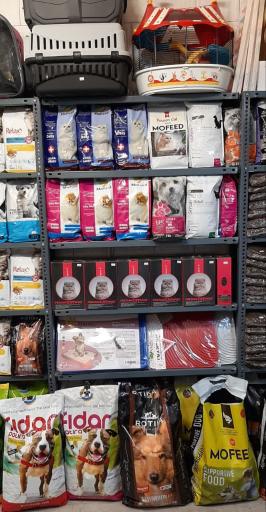 عکس پت شاپ رویال عرفان 