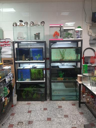 عکس آکواریوم نهنگ آبی