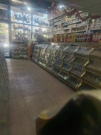 عکس عطاری دارما