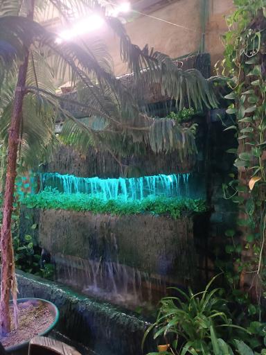 عکس ۴۰-۳۰ چلسی