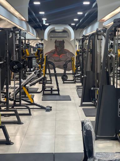 عکس باشگاه اکسیژن