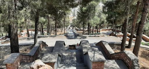 عکس پارک نیمه جنگلی تپه شاهد