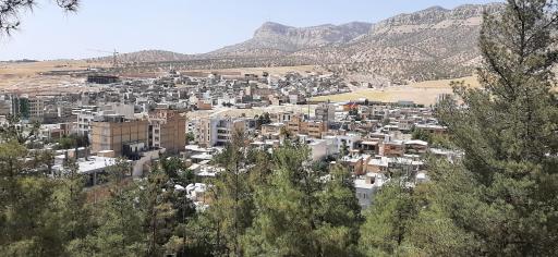 عکس پارک نیمه جنگلی تپه شاهد