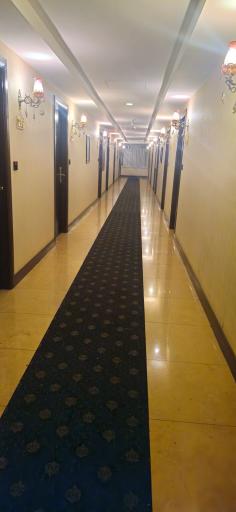 عکس هتل ارگ شیراز