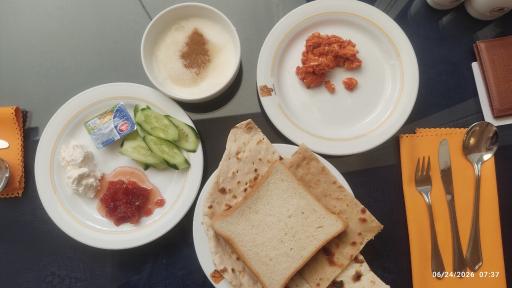عکس هتل ارگ شیراز