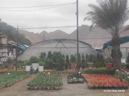 گلخانه پرورش کاکتوس زرین