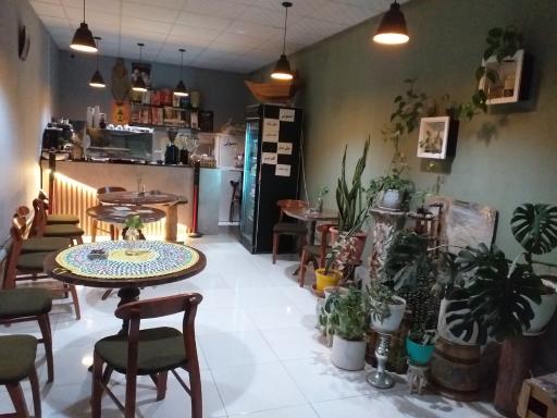 عکس قهوه کاستو