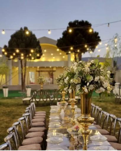 عکس باغ عمارت ماهان