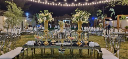 عکس باغ عمارت ماهان