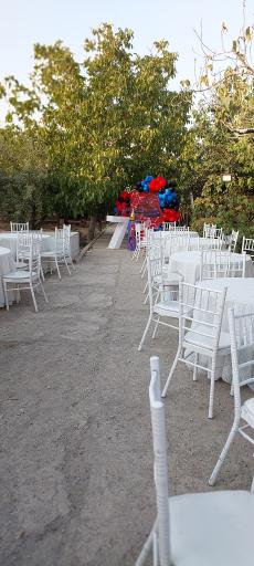 عکس تشریفات و ظروف کرایه سید