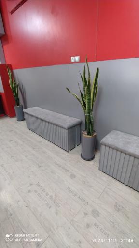 عکس کافی نت