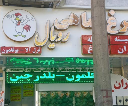 عکس مرغ و ماهی رویال