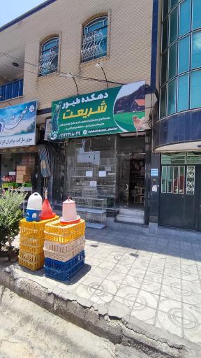 عکس پرنده فروشی دهکده طیور شریعت
