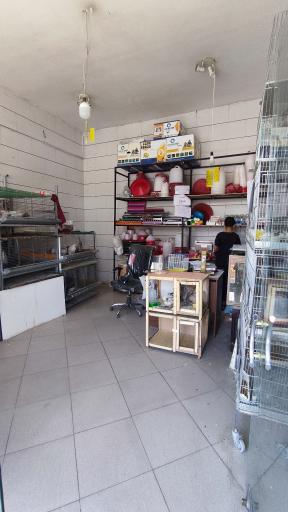 عکس پرنده فروشی دهکده طیور شریعت