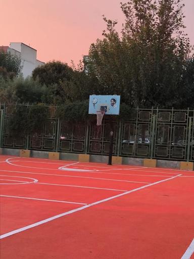 عکس زمین بسکتبال