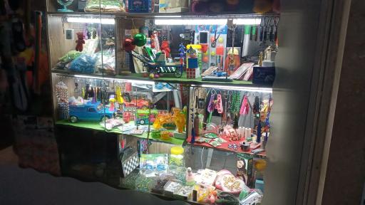 عکس خرازی غدیر