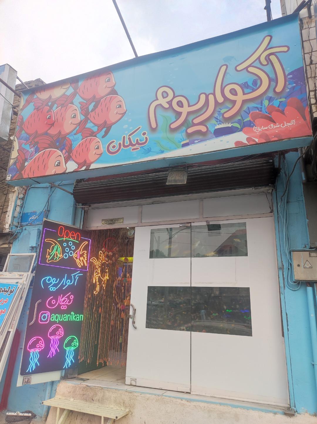 عکس آکواریوم نیکان