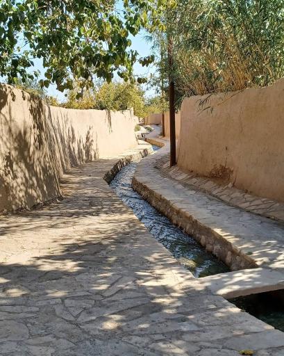 عکس بوستان کدیور