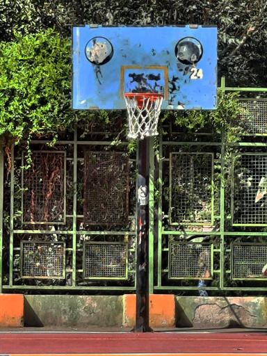 عکس زمین بسکتبال