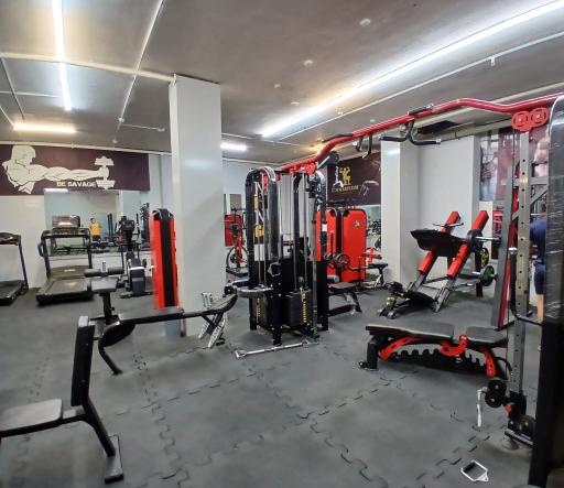 عکس مجموعه تناسب اندام بابک