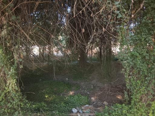 عکس قلعه خان