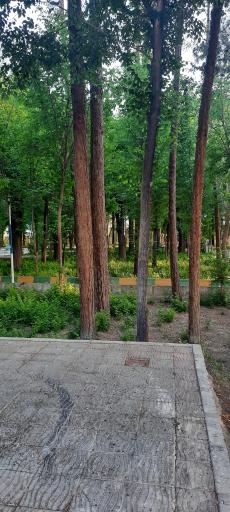 عکس پارک کودک