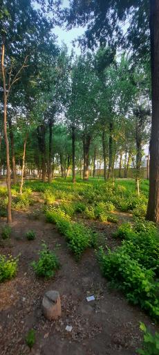 عکس پارک کودک