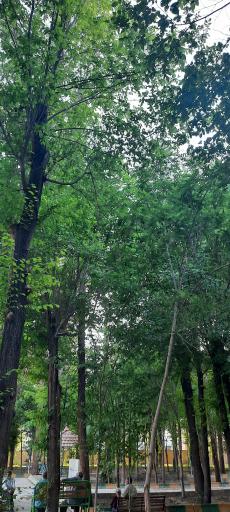 عکس پارک کودک