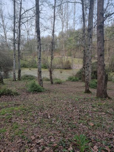 عکس مرداب و پارک جنگلی قادیکلا