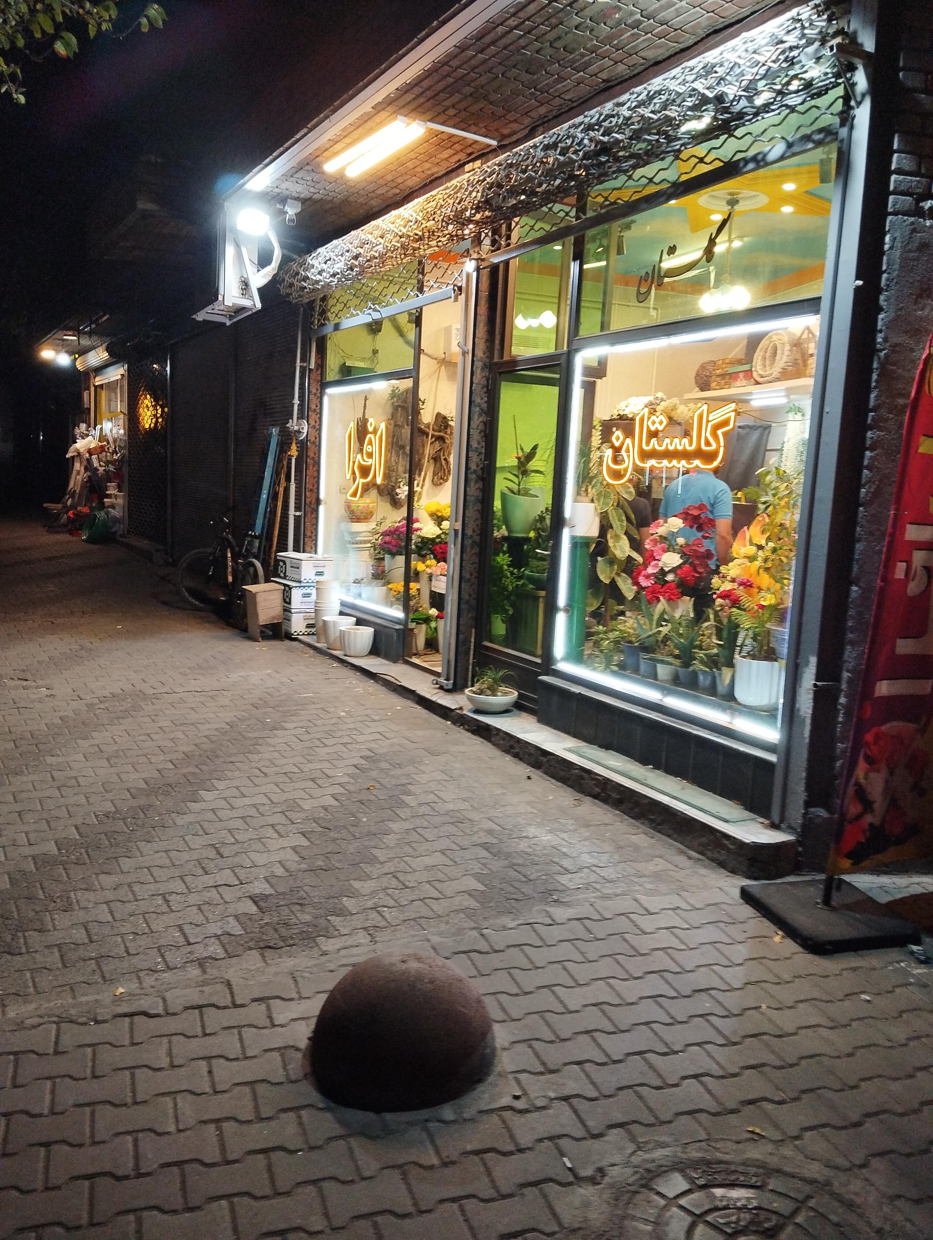 عکس گلسرای افرا 