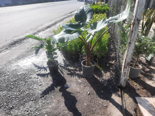 عکس سرای گل نقش جهان