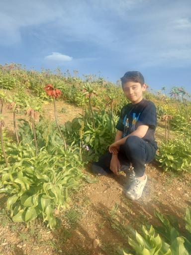 عکس دشت لاله های واژگون