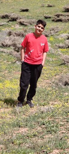 عکس دشت لاله های واژگون