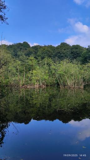 عکس مرداب و پارک جنگلی قادیکلا