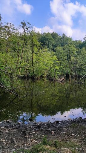 عکس مرداب و پارک جنگلی قادیکلا