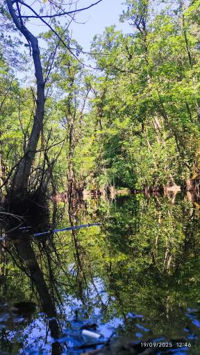 عکس مرداب و پارک جنگلی قادیکلا