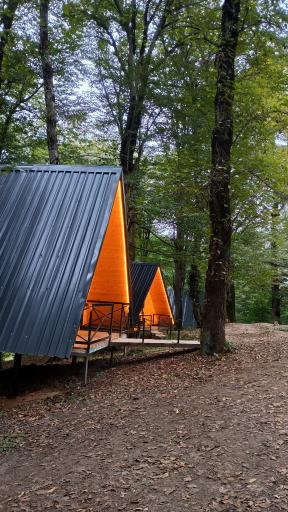 عکس مرداب و پارک جنگلی قادیکلا