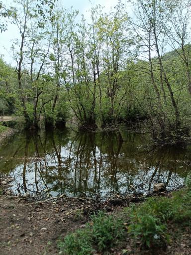 عکس مرداب و پارک جنگلی قادیکلا