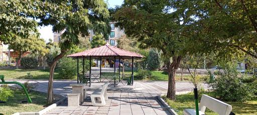 عکس بوستان شطرنج