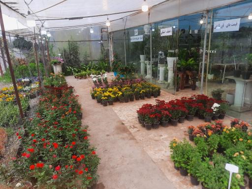 عکس سرای گل نقش جهان