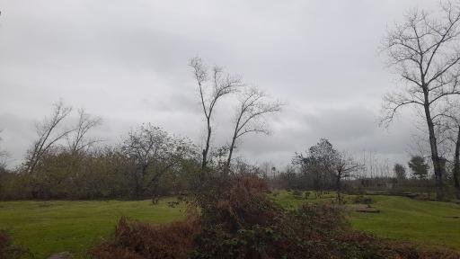 عکس مسجد اسپی مزگت