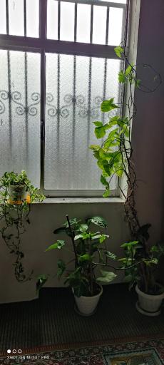 عکس اقامتگاه بوم گردی کیله