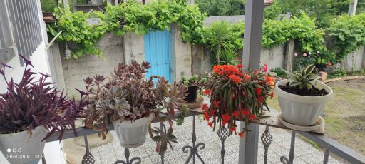 عکس اقامتگاه بوم گردی کیله