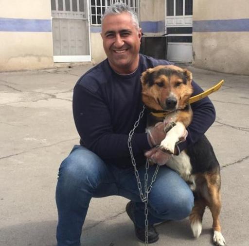 عکس دامپزشکی دکتر فرج نژاد