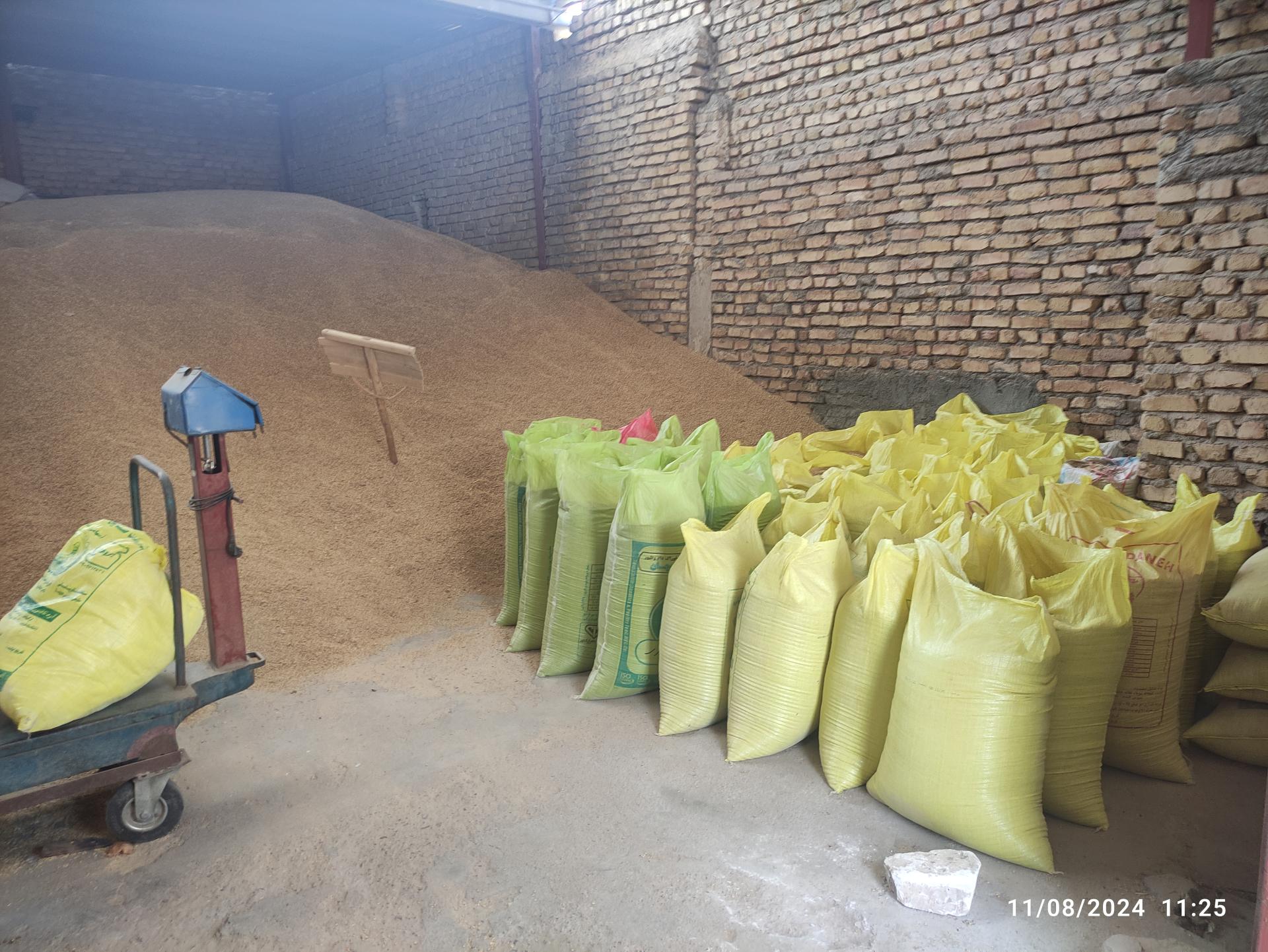 عکس غلات و خشکبار الله وردیزاده