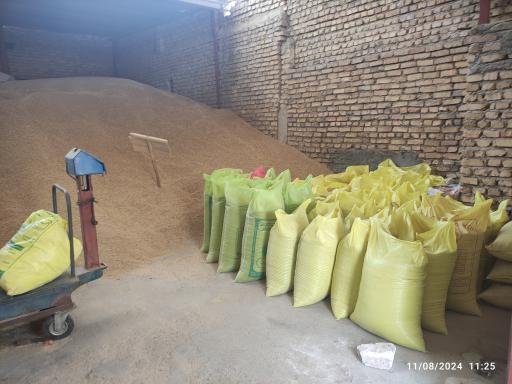 عکس غلات و خشکبار الله وردیزاده