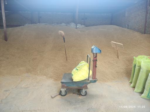 عکس غلات و خشکبار الله وردیزاده