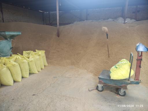 عکس غلات و خشکبار الله وردیزاده