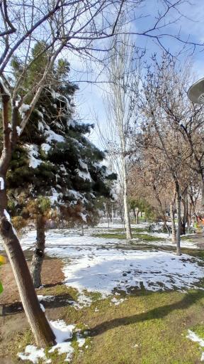 عکس بوستان ثامن